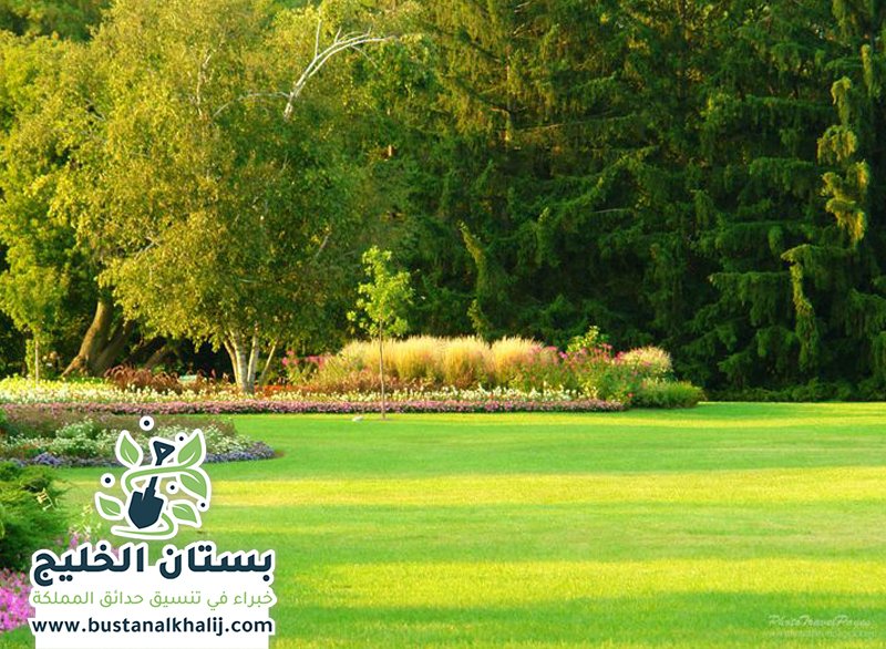 تنسيق حدائق شرق الرياض