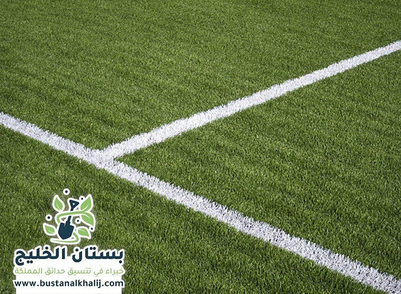 شركة تجهيز ملاعب بالرياض