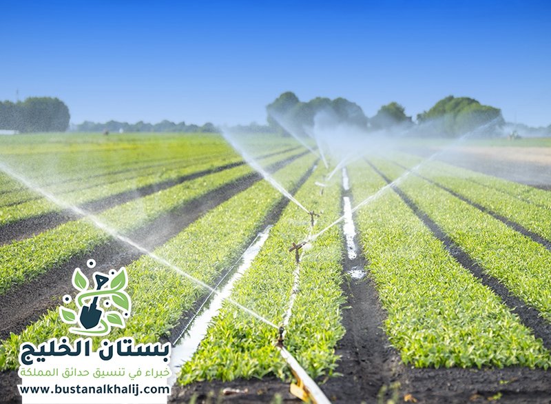 تصميم شبكات الري بالرياض