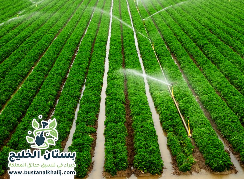 شركة تمديد شبكات الري