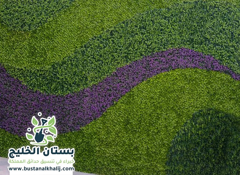 تركيب عشب جداري بالرياض