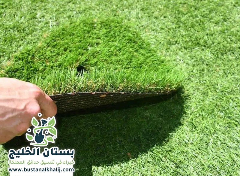 تركيب عشب شمال الرياض