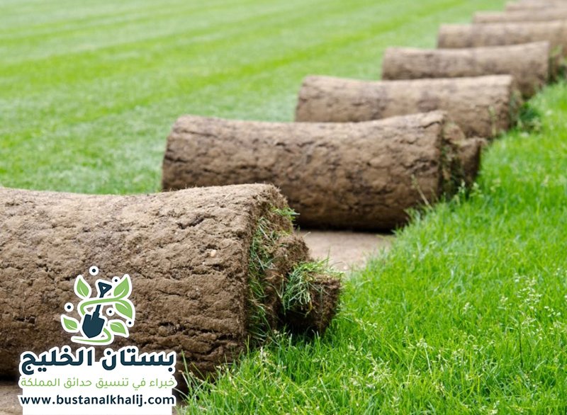 تركيب ثيل طبيعي بالرياض