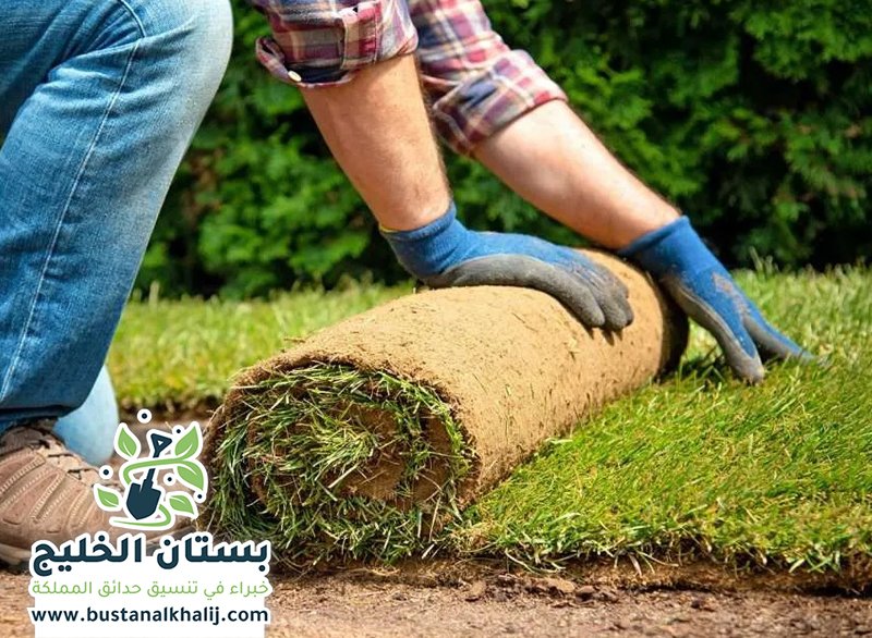 تركيب ثيل طبيعي بالرياض