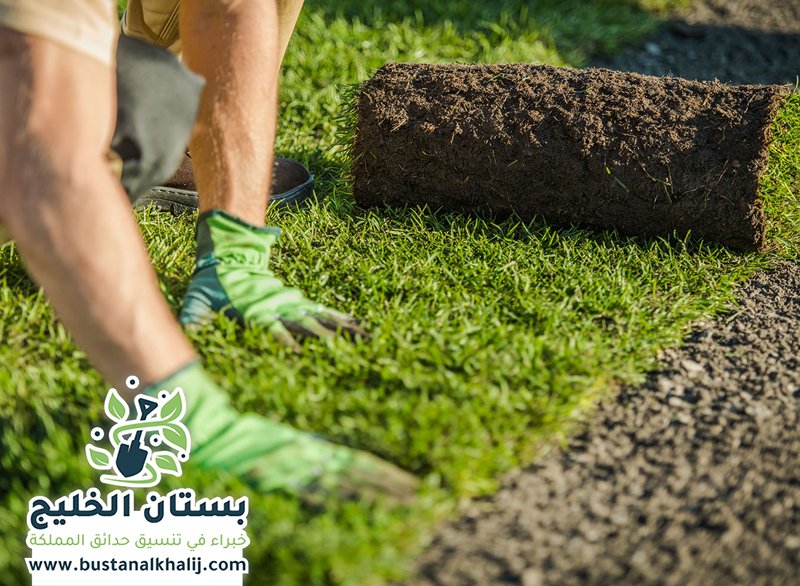 تركيب ثيل طبيعي بالرياض
