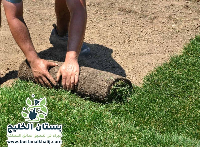 تركيب عشب طبيعي جنوب الرياض