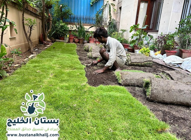 تركيب عشب طبيعي جنوب الرياض