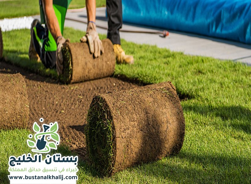 تركيب عشب طبيعي شمال الرياض