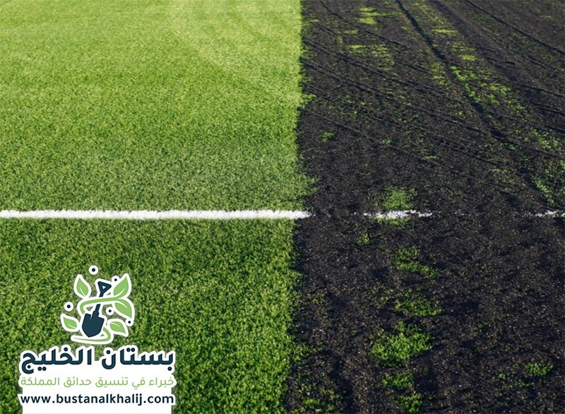تركيب عشب طبيعي جنوب الرياض