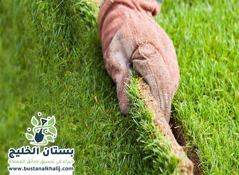 تركيب عشب طبيعي شمال الرياض