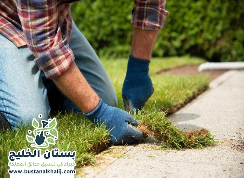 تركيب عشب طبيعي شمال الرياض