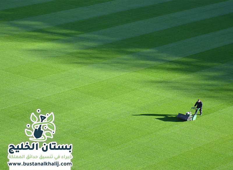 تركيب نجيلة في شرق الرياض