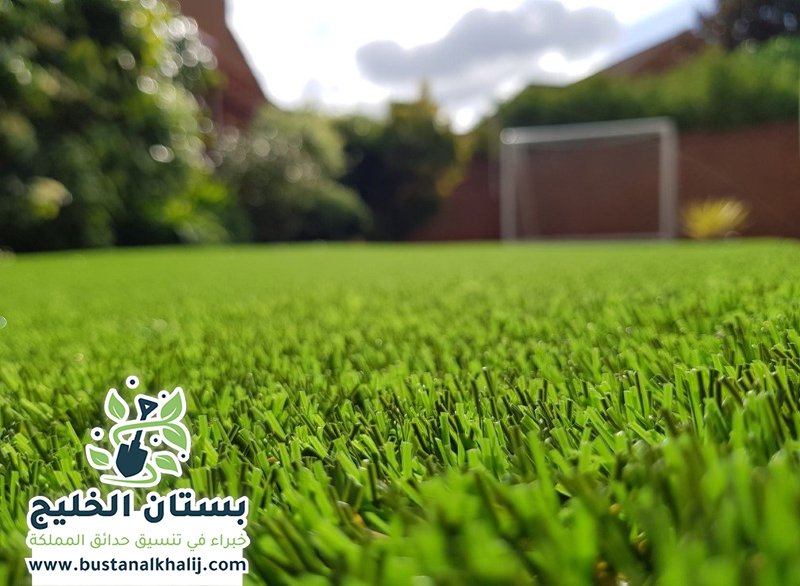 تركيب نجيلة في شرق الرياض