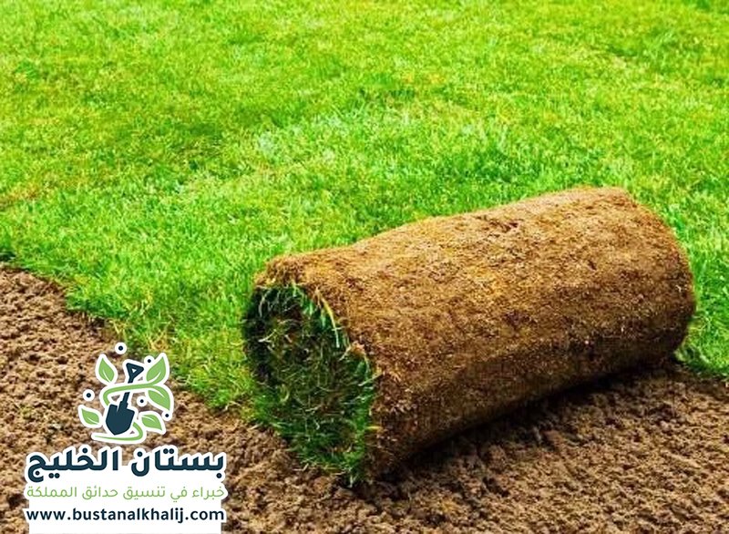 تركيب نجيلة في شرق الرياض