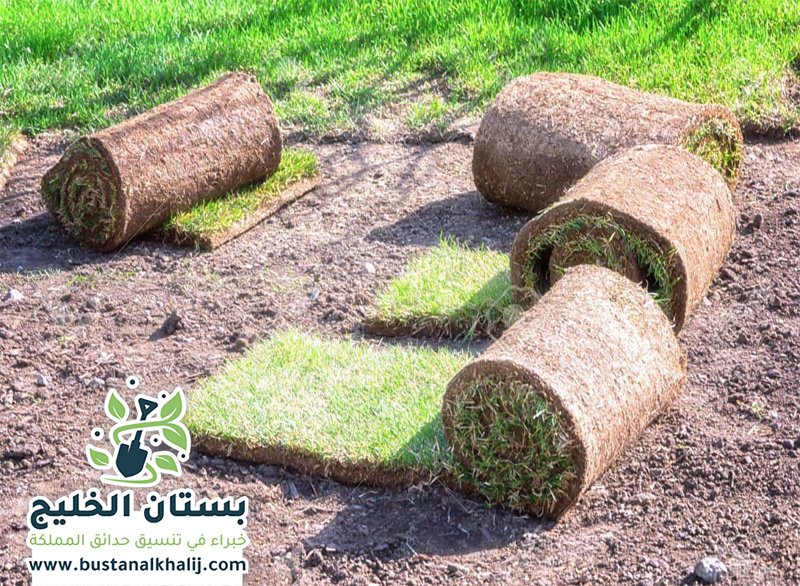 تركيب نجيلة في جنوب الرياض