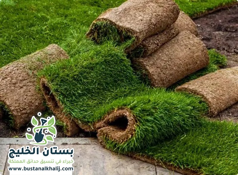 تركيب نجيلة في جنوب الرياض