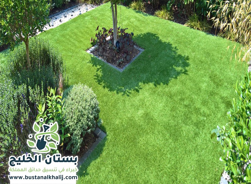 تركيب نجيلة في شمال الرياض