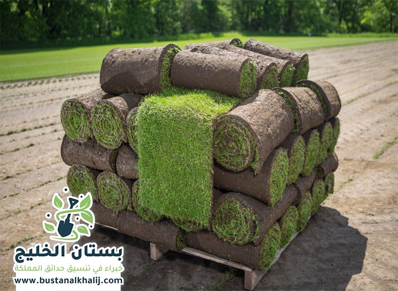 تركيب نجيلة في شمال الرياض