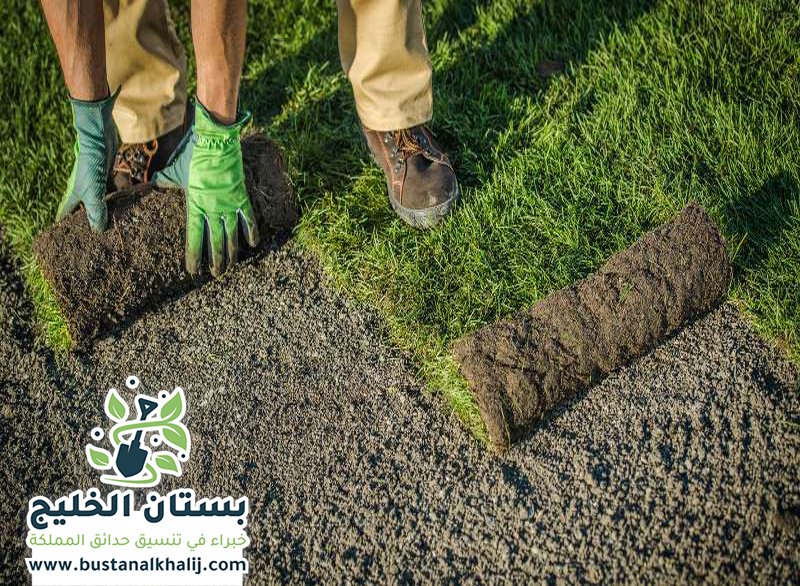 تركيب نجيلة في شمال الرياض