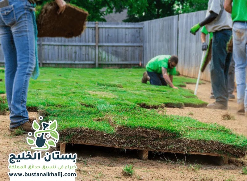 تركيب نجيلة في غرب الرياض