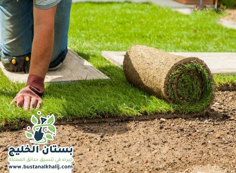 تركيب نجيلة في غرب الرياض