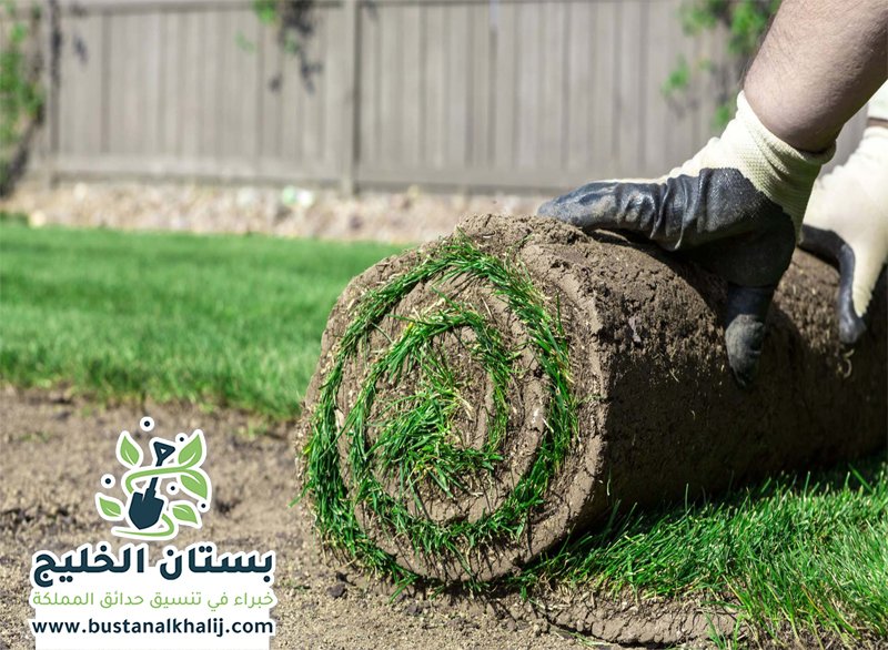 تركيب نجيلة في غرب الرياض