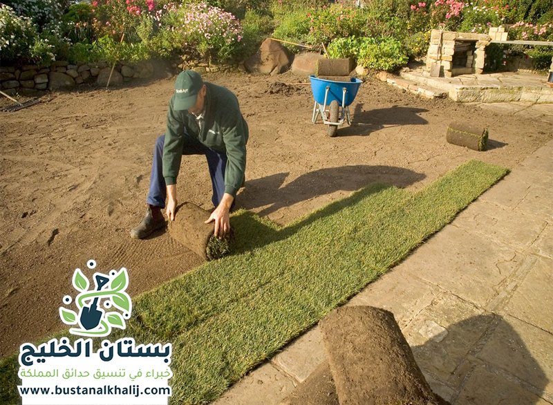 تركيب عشب طبيعي شرق الرياض
