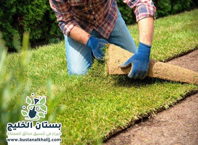 تركيب عشب طبيعي شرق الرياض