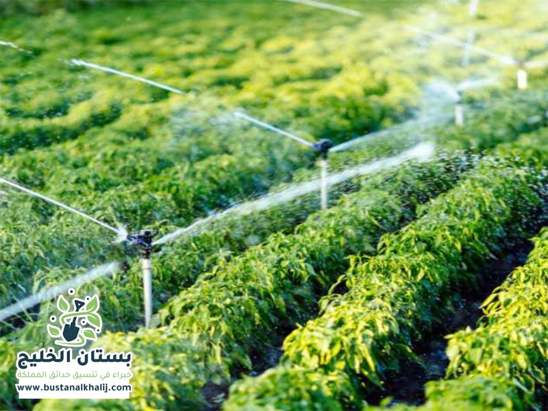 تركيب شبكات الري