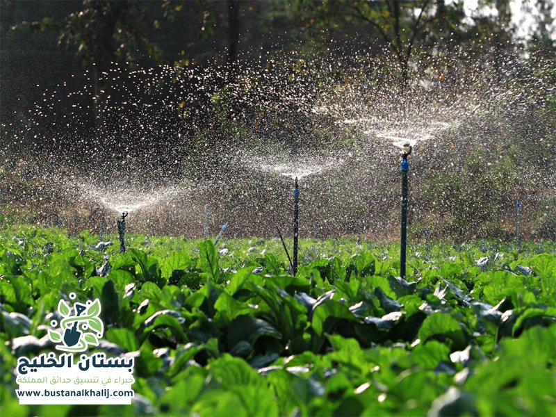تركيب شبكات الري شرق الرياض