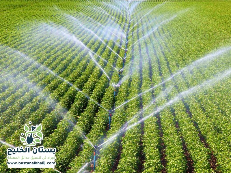 تركيب شبكات الري غرب الرياض