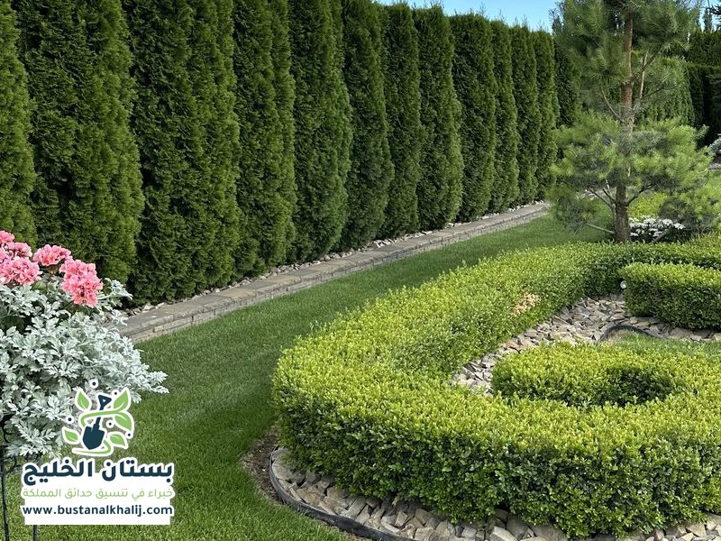 تنسيق حدائق حي الفلاح