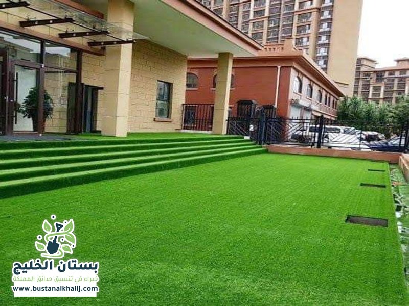 تركيب عشب حي العقيق