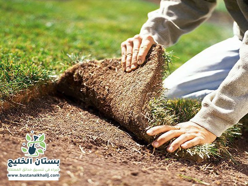 تركيب عشب حي الصحافة